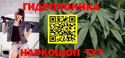 стаф Малгобек